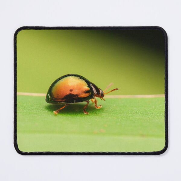 Item preview, Steelblue Ladybird designed and sold by robdanimalphotography.