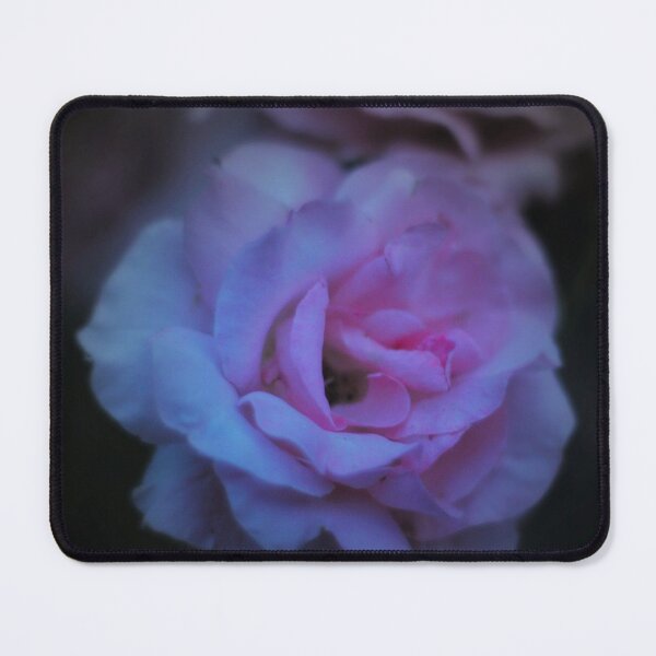 Item preview, Light pink rose designed and sold by BlossomArtPhoto.