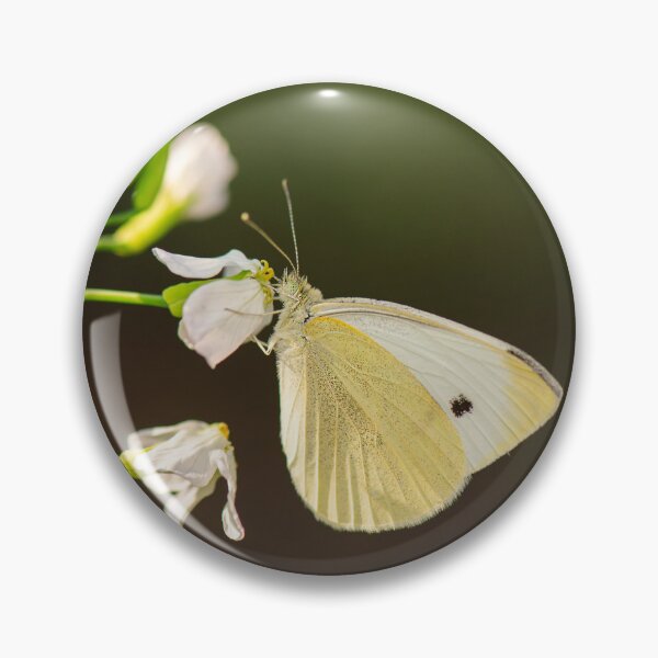 Item preview, Cabbage White Butterfly designed and sold by robdanimalphotography.