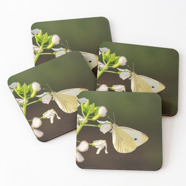 Item preview, Cabbage White Butterfly designed and sold by robdanimalphotography.