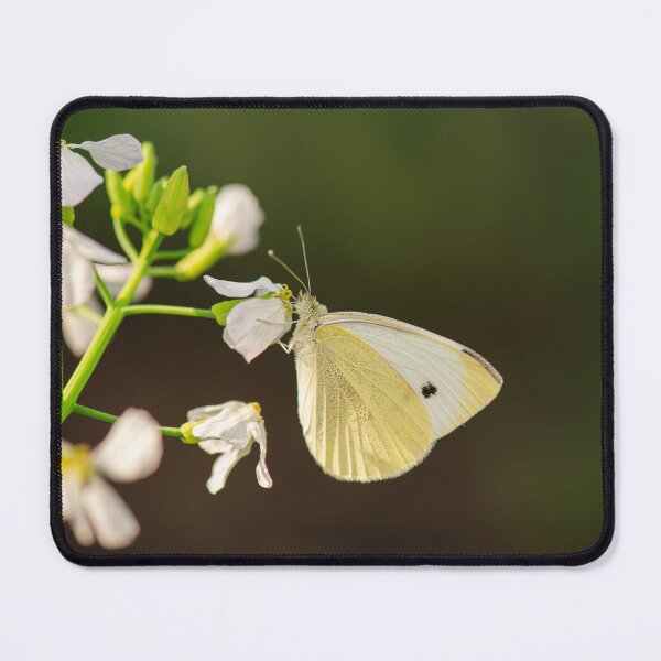 Item preview, Cabbage White Butterfly designed and sold by robdanimalphotography.