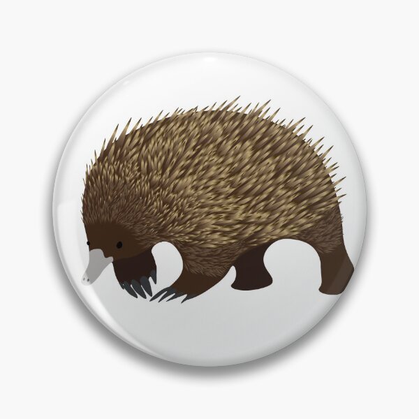 Item preview, Echidna (minimalist) designed and sold by Racheltmason.