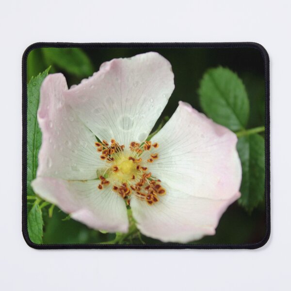 Item preview, growing wild designed and sold by KathleenDawson.
