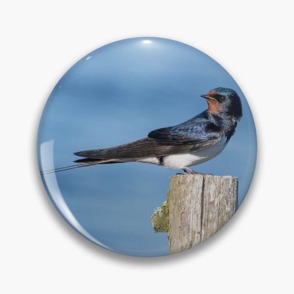 Item preview, Barn Swallow designed and sold by ansaharju.