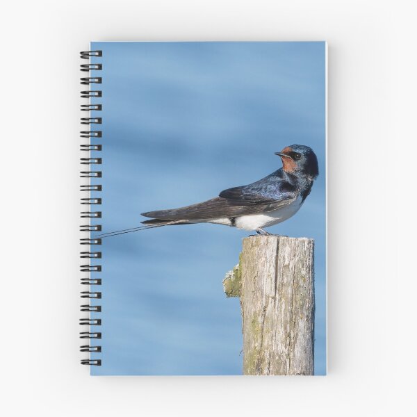 Item preview, Barn Swallow designed and sold by ansaharju.
