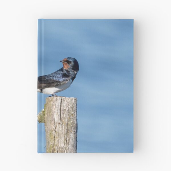 Item preview, Barn Swallow designed and sold by ansaharju.