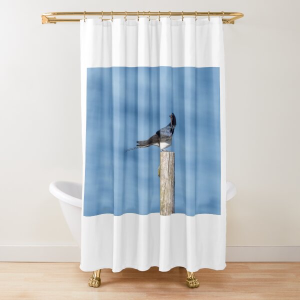 Item preview, Barn Swallow designed and sold by ansaharju.