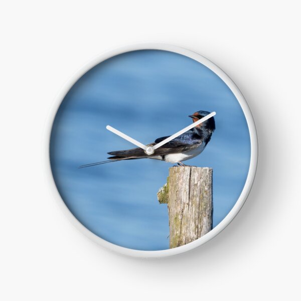 Item preview, Barn Swallow designed and sold by ansaharju.