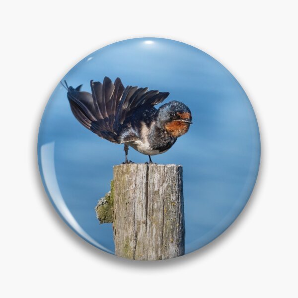Item preview, Barn Swallow designed and sold by ansaharju.
