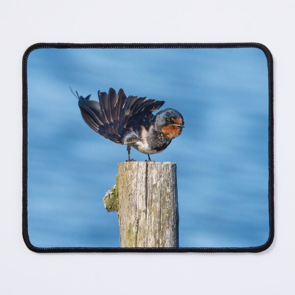 Item preview, Barn Swallow designed and sold by ansaharju.