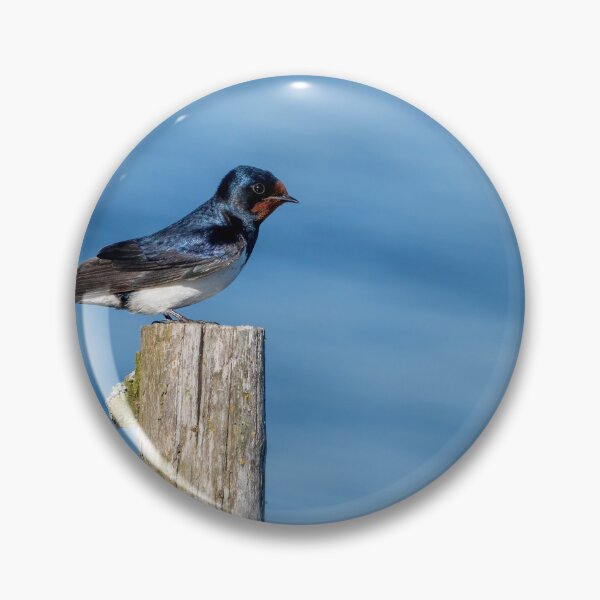 Item preview, Barn Swallow designed and sold by ansaharju.