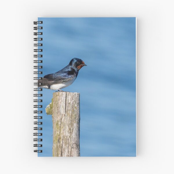 Item preview, Barn Swallow designed and sold by ansaharju.