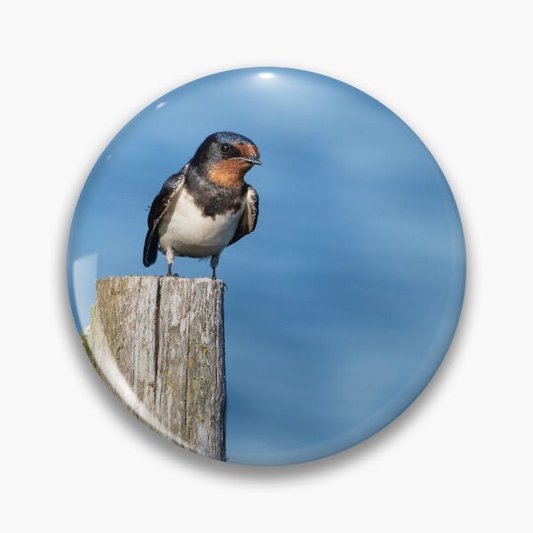 Item preview, Barn Swallow designed and sold by ansaharju.
