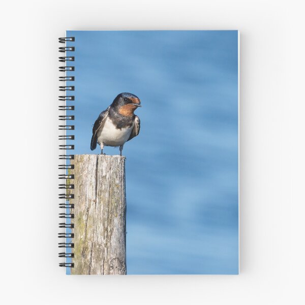 Item preview, Barn Swallow designed and sold by ansaharju.