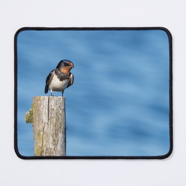 Item preview, Barn Swallow designed and sold by ansaharju.