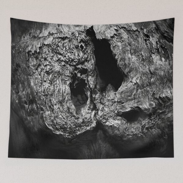 Item preview, With the holes. Gnarls Seitseminen 2024 bw designed and sold by Jouko Lehto Photography.