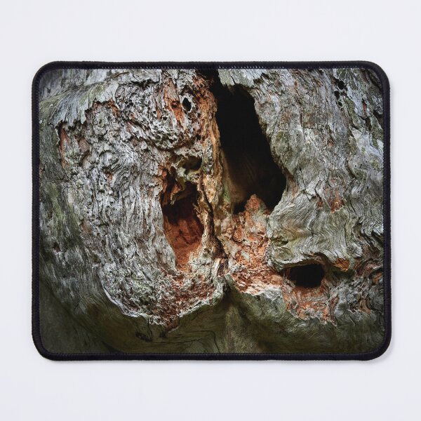 Item preview, With the holes. Gnarls Seitseminen 2024 designed and sold by Jouko Lehto Photography.