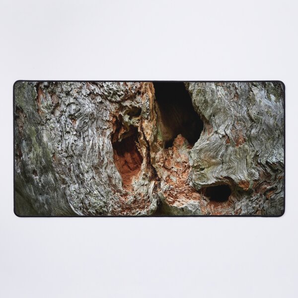 Item preview, With the holes. Gnarls Seitseminen 2024 designed and sold by Jouko Lehto Photography.