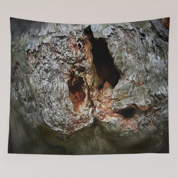 Item preview, With the holes. Gnarls Seitseminen 2024 designed and sold by Jouko Lehto Photography.