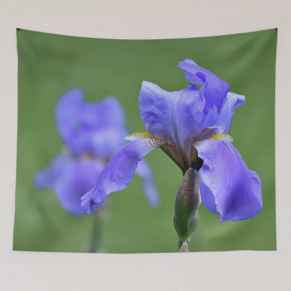 Item preview, Blue Iris designed and sold by Len Bomba.