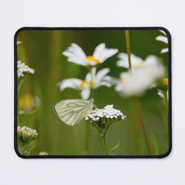 Item preview, Green-veined white summertime designed and sold by Jouko Lehto Photography.