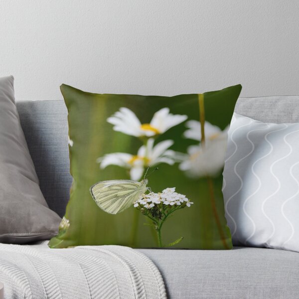 Item preview, Green-veined white summertime designed and sold by Jouko Lehto Photography.