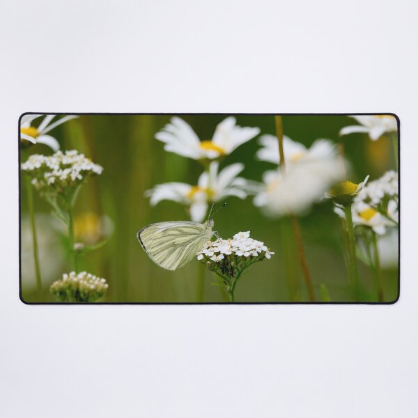 Item preview, Green-veined white summertime designed and sold by Jouko Lehto Photography.