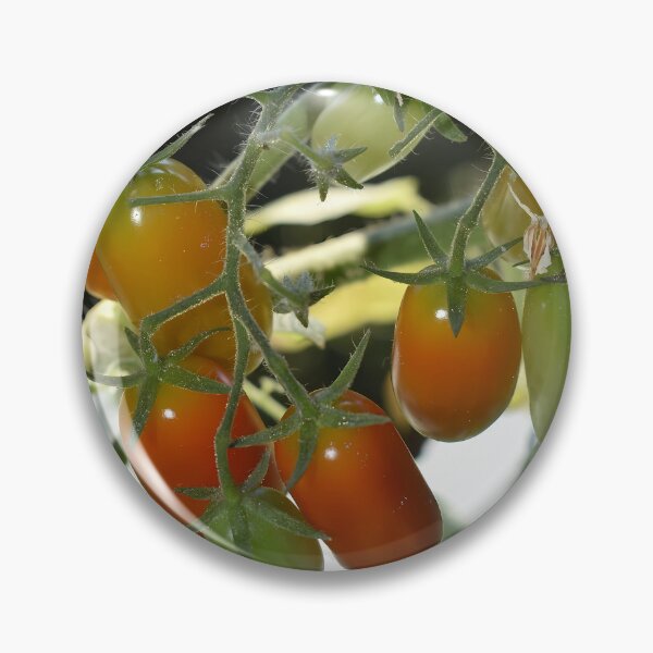 Item preview, Colorful organic cherry tomatoes branch designed and sold by mariya-ivanova.