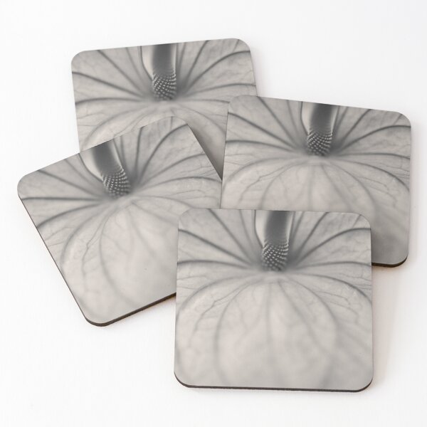 Item preview, Anthurium designed and sold by David Bowman.