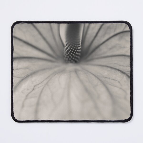 Item preview, Anthurium designed and sold by David Bowman.