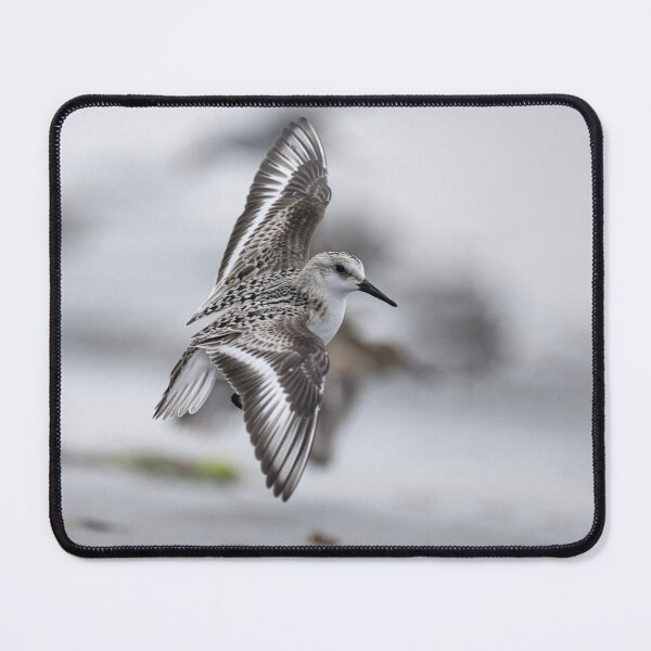Item preview, The sanderling in flight designed and sold by kathleenjean.
