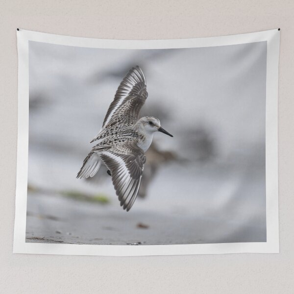Item preview, The sanderling in flight designed and sold by kathleenjean.
