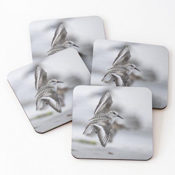 Item preview, The sanderling in flight designed and sold by kathleenjean.