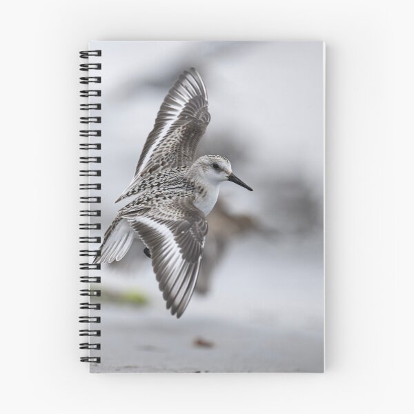 Item preview, The sanderling in flight designed and sold by kathleenjean.