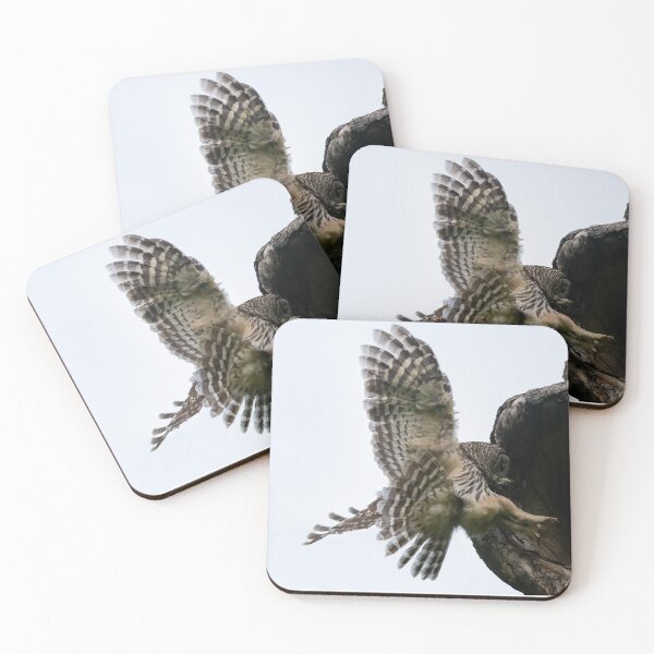 Item preview, Mama Barred owl and its baby designed and sold by Puttaswamy Ravishankar.