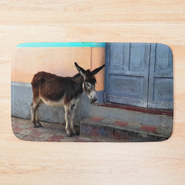 Item preview, Nicaragua - Donkey of Somoto designed and sold by franck380.