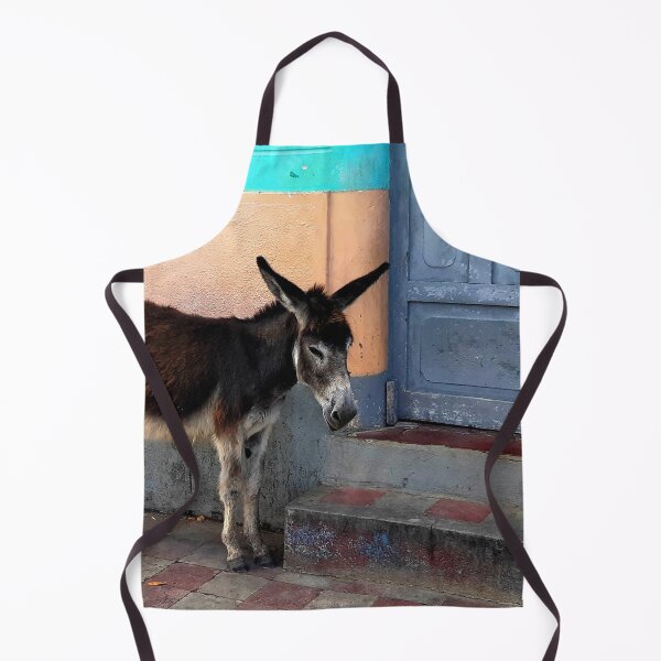 Item preview, Nicaragua - Donkey of Somoto designed and sold by franck380.