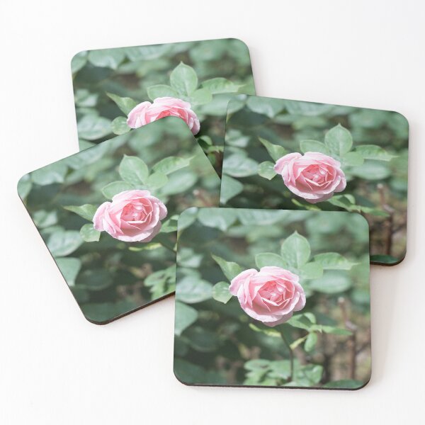Item preview, Baby Pink Rose Opening Softly designed and sold by Georgia Mizuleva.