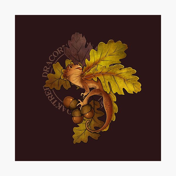Oak Tree Dracorn Photographic Print