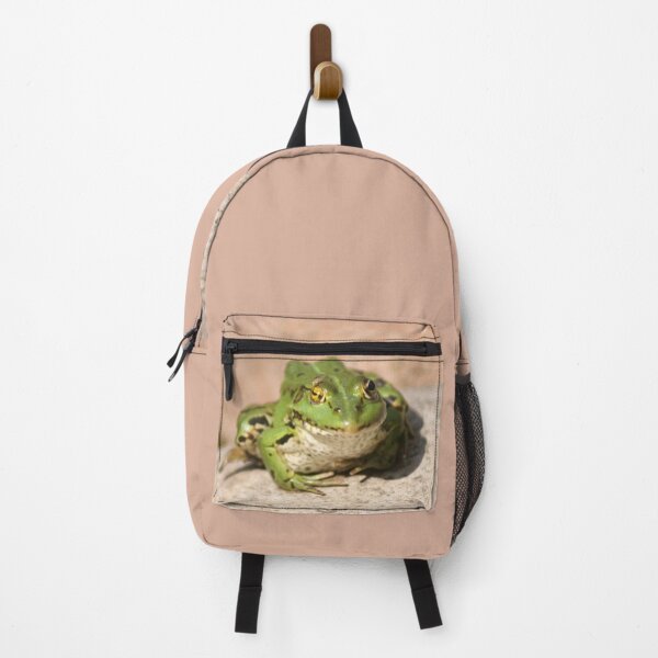 Item preview, A lovely frog on a stone winks designed and sold by mikistudio.