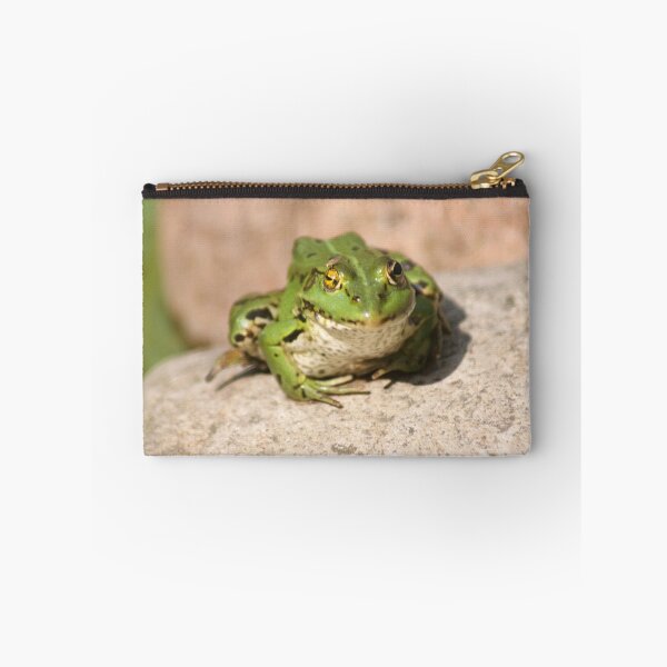Item preview, A lovely frog on a stone winks designed and sold by mikistudio.