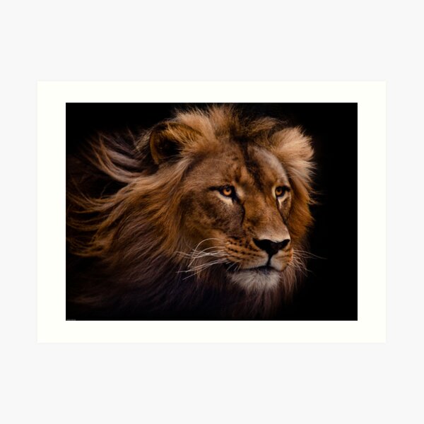Mujambi Art Print