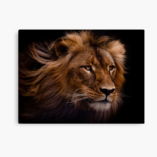 Mujambi Canvas Print