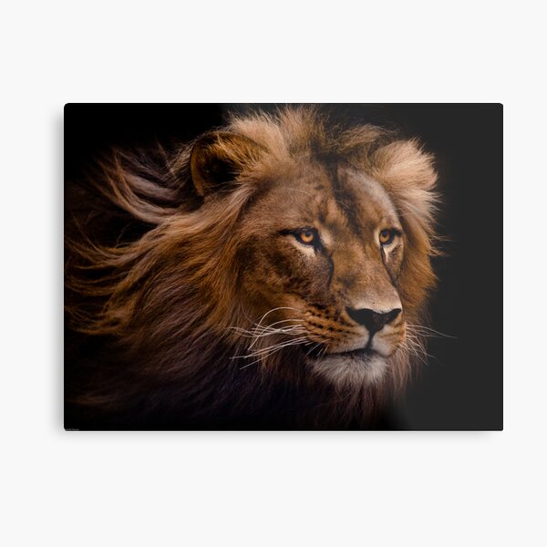 Mujambi Metal Print