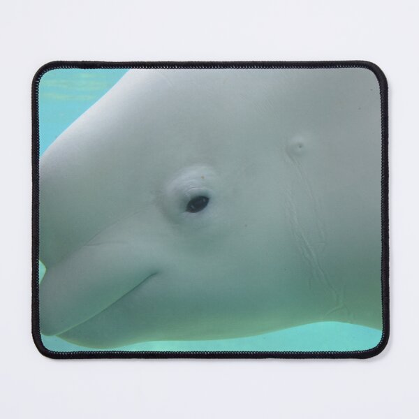 Item preview, Gentle Beluga Whale Profile    designed and sold by TimelapTravel.