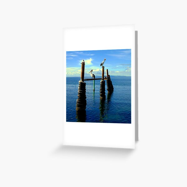 Waiting for Sunset Greeting Card