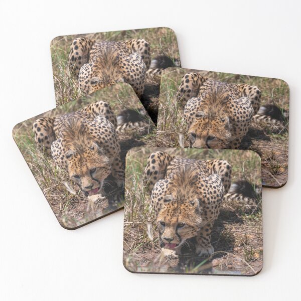 Item preview, Drinking cheetah designed and sold by kjewikarn.