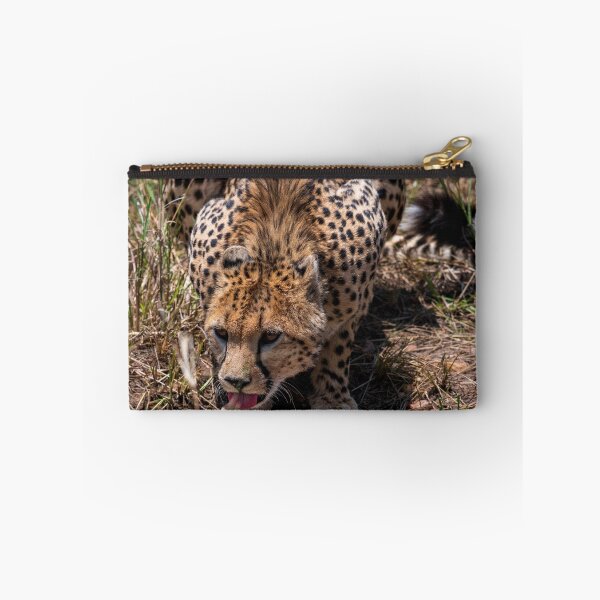 Item preview, Drinking cheetah designed and sold by kjewikarn.