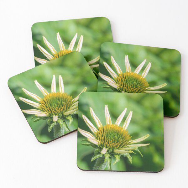 Item preview, Coneflower New Beginnings designed and sold by Debra Martz.