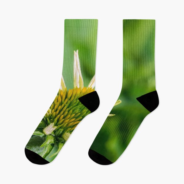 Item preview, Coneflower New Beginnings designed and sold by Debra Martz.